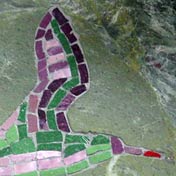 anders gedenken, wouter bouwman, gedenktekens in steen en mozaiek, thumb02